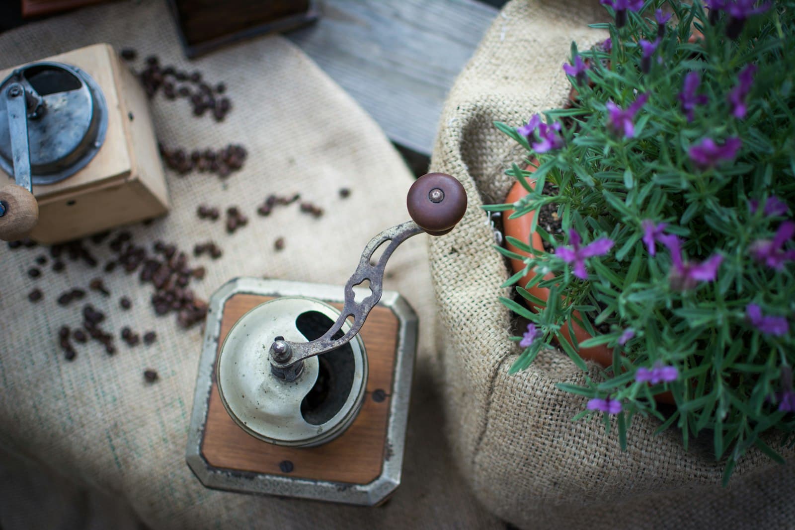 A compact cylindrical coffee press on a table